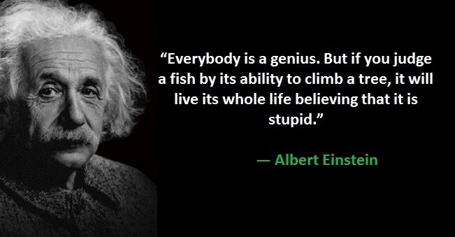 "Everybody is a genius. But if you judge a fish by its ability to climb a tree, it will live its whole life believing that it is stupid." ― Albert Einstein 