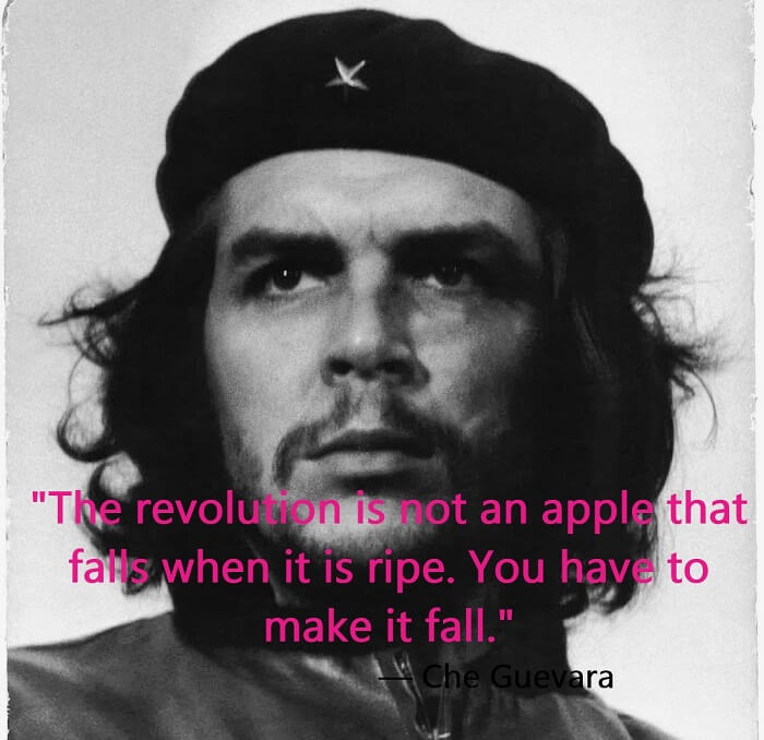 The revolution is not an apple that falls when it is ripe. You have to make it fall.