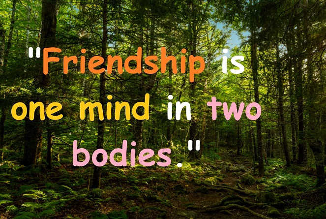 Friendship is one mind in two bodies."