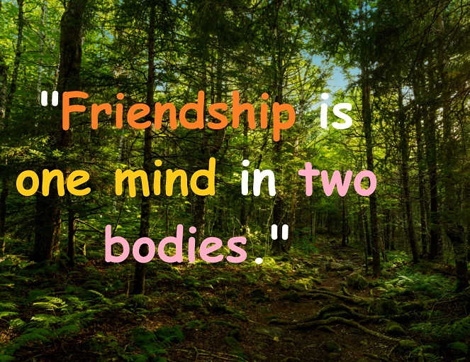 Friendship is one mind in two bodies."