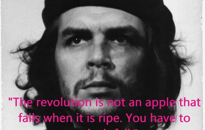 The revolution is not an apple that falls when it is ripe. You have to make it fall.